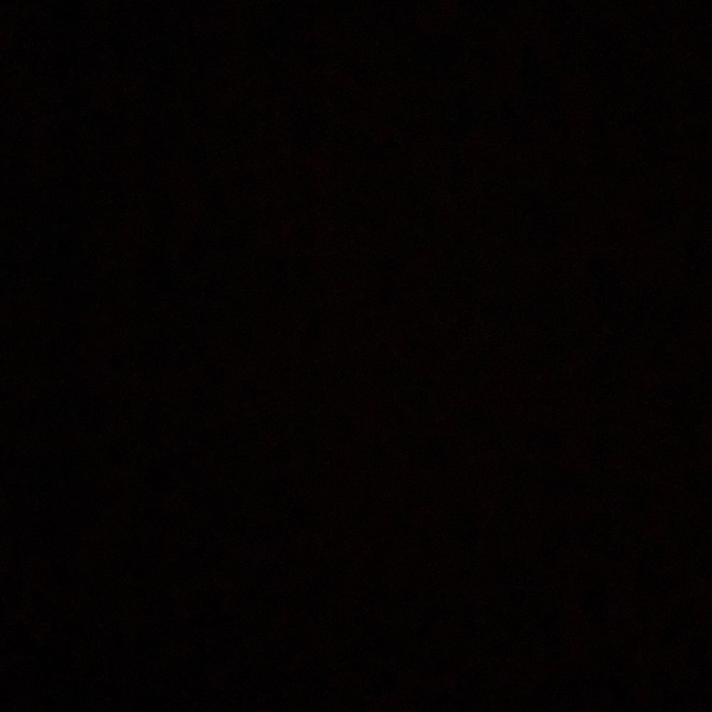 y m 