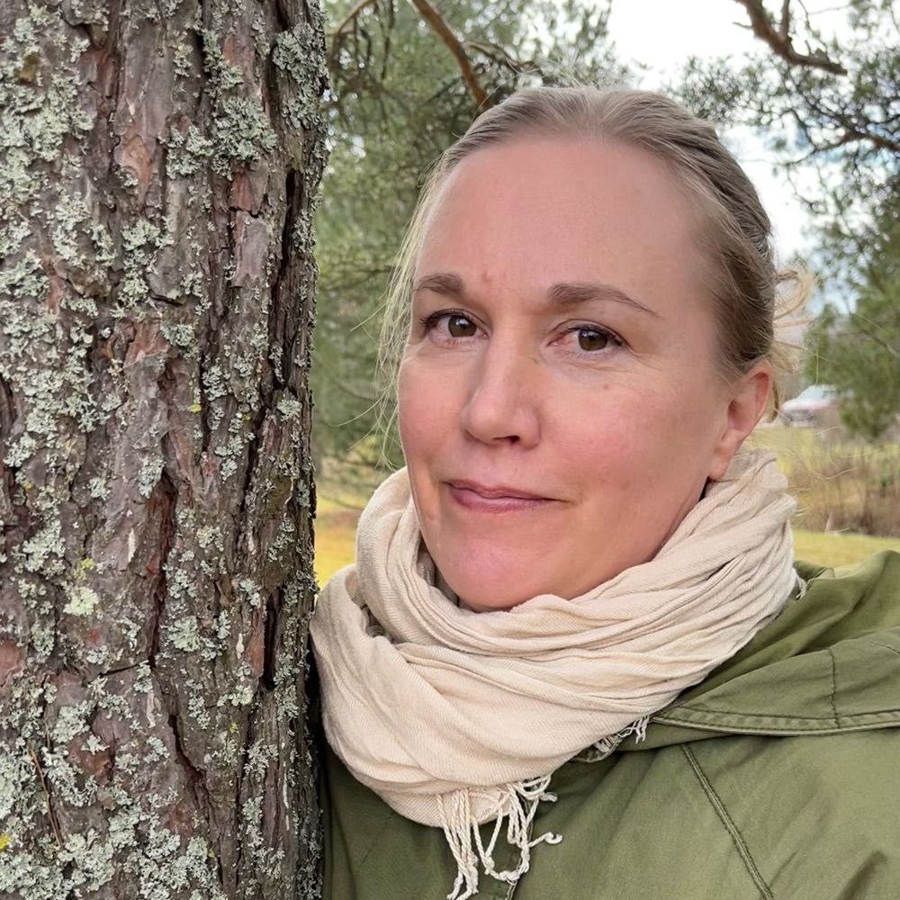 Mari Pihlajaniemi