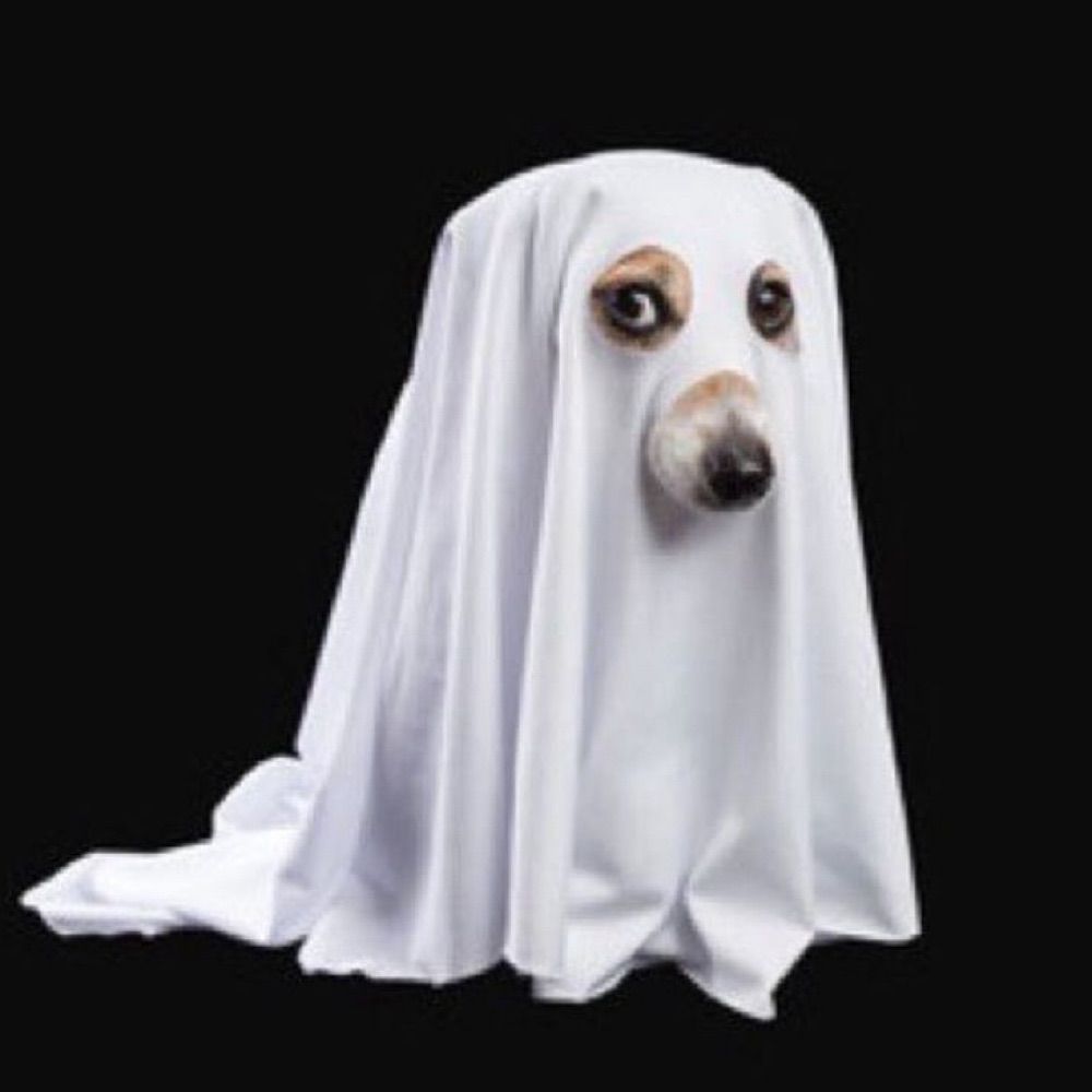 manuzika 🎃👻🦇