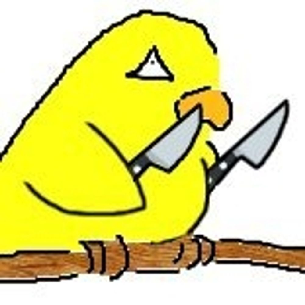ばーどん