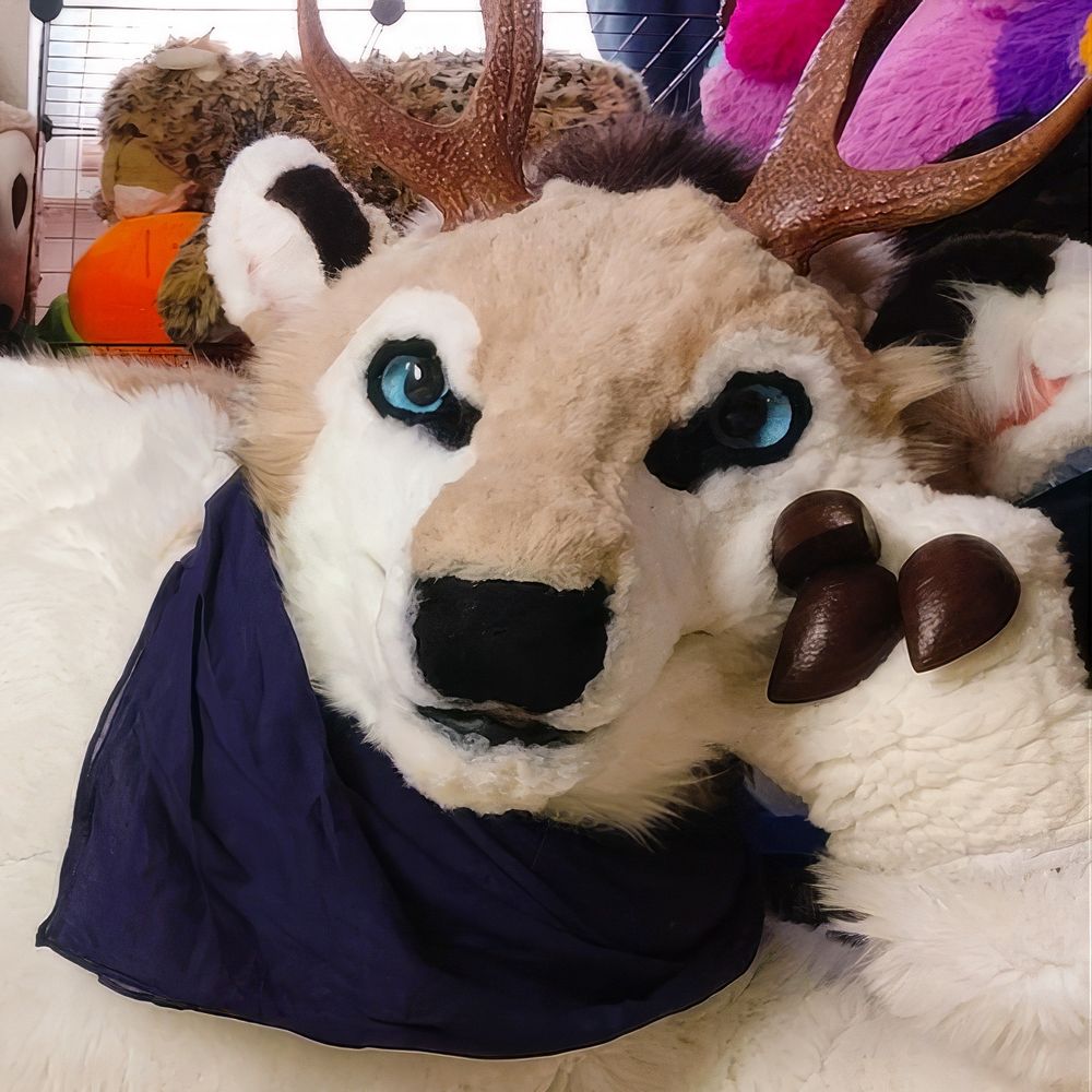 Hayel (Ligertier Plushmods)
