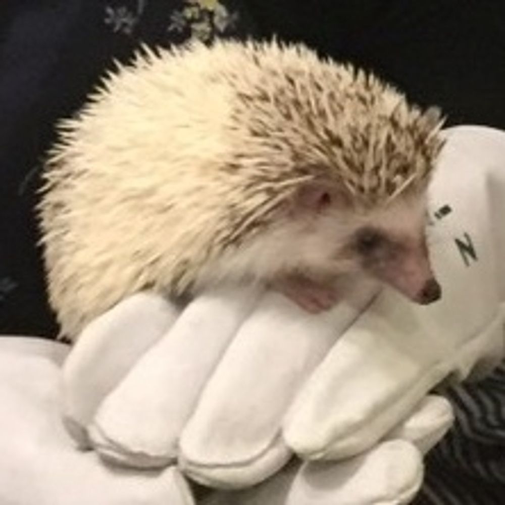 りん