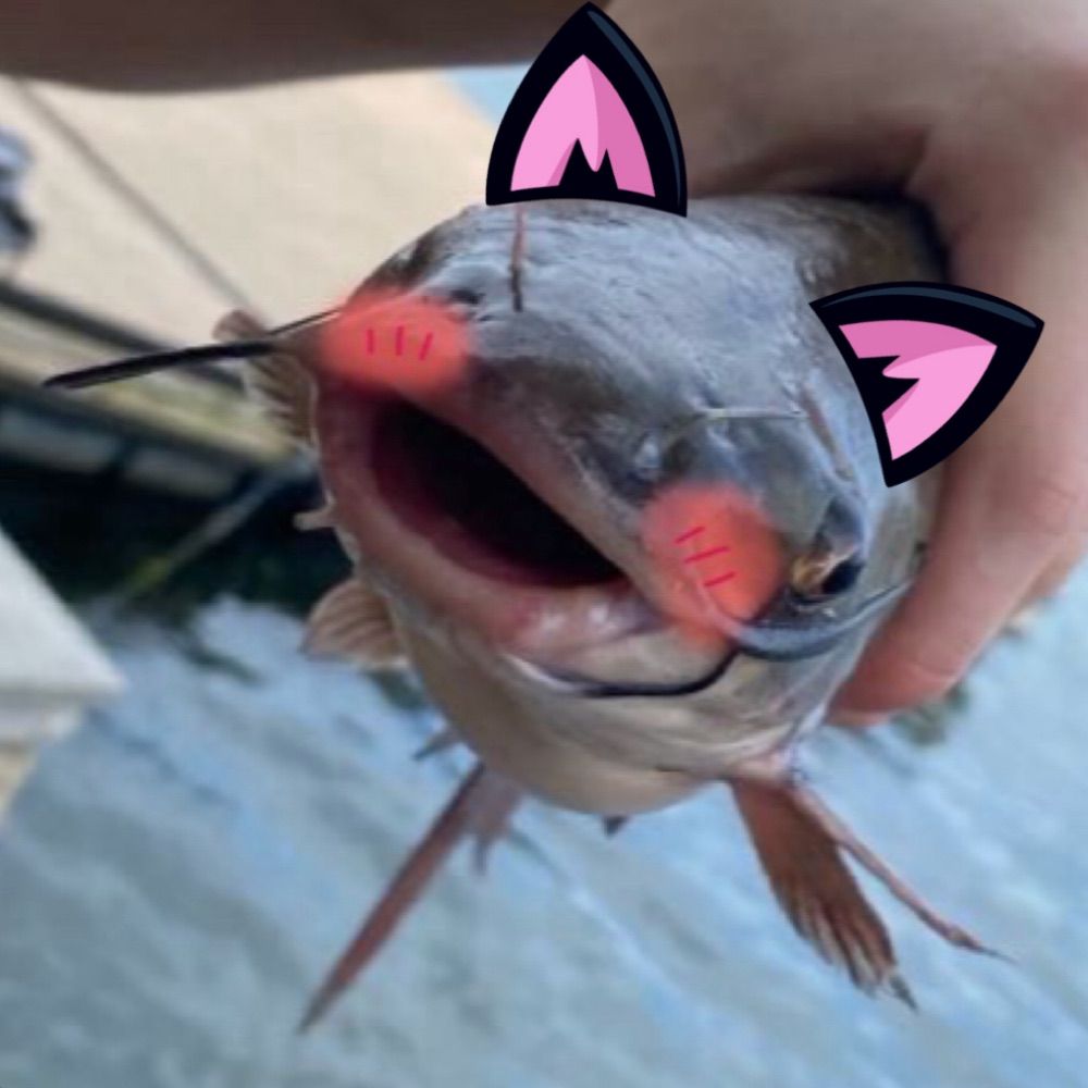 Wimo🎣🦖🦕