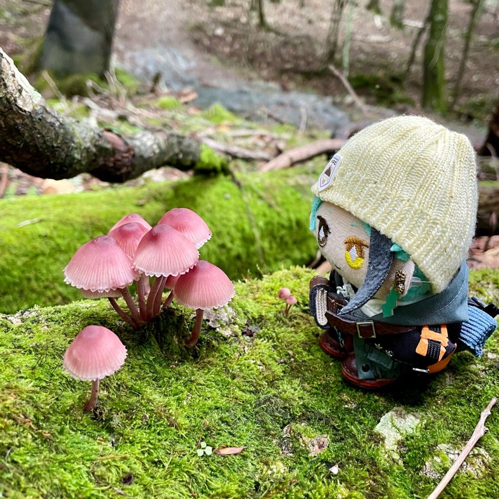 もけ