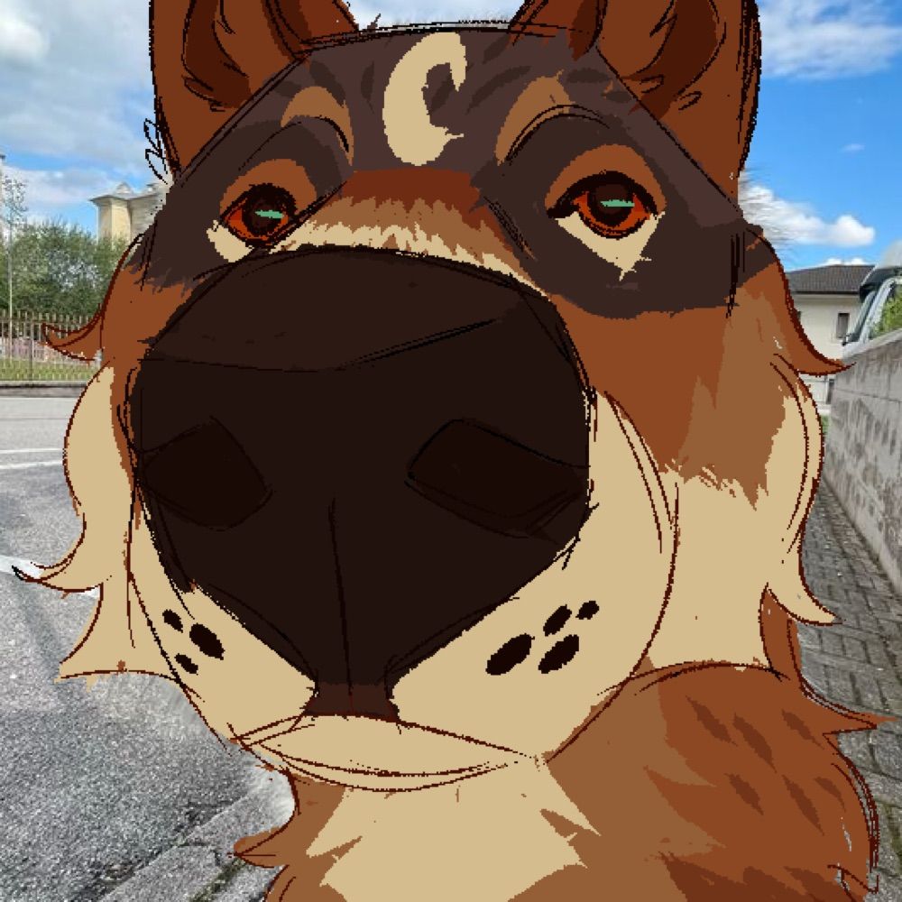 wolvenhearted.bsky.social profile picture