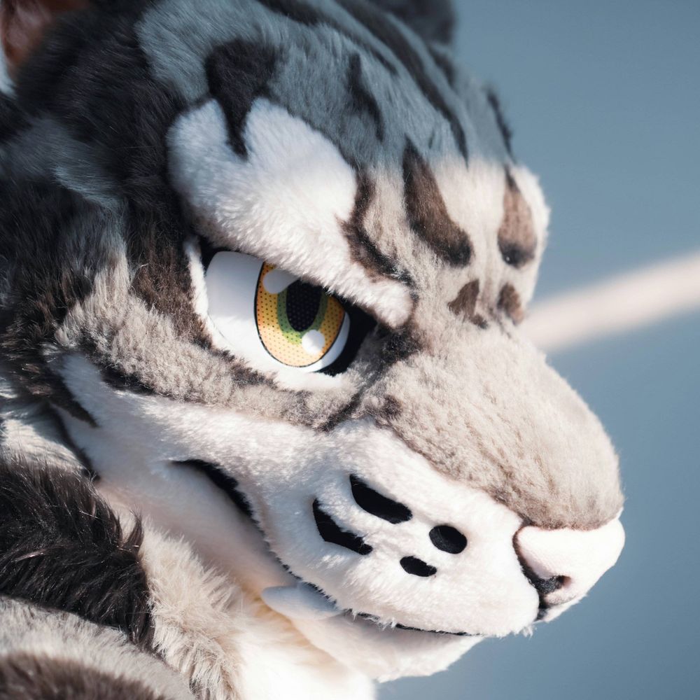 Tigersil 虎銀