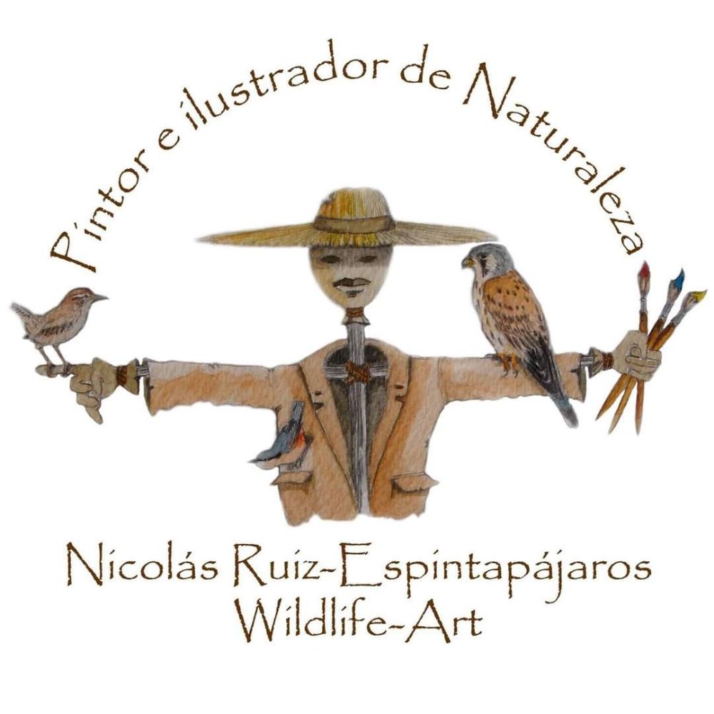 Espintapajaros Wildlife Art
