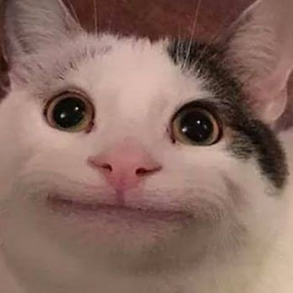 ViviGPT