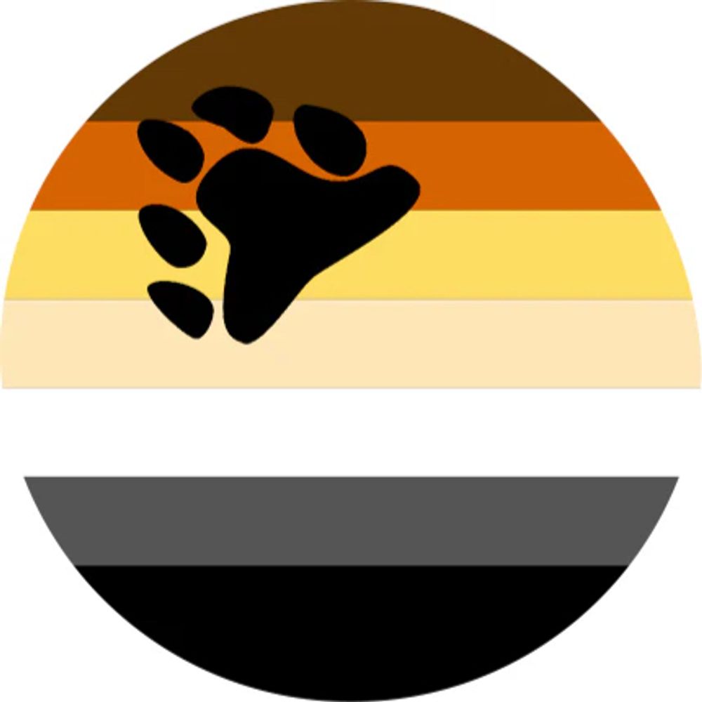 BearBoy