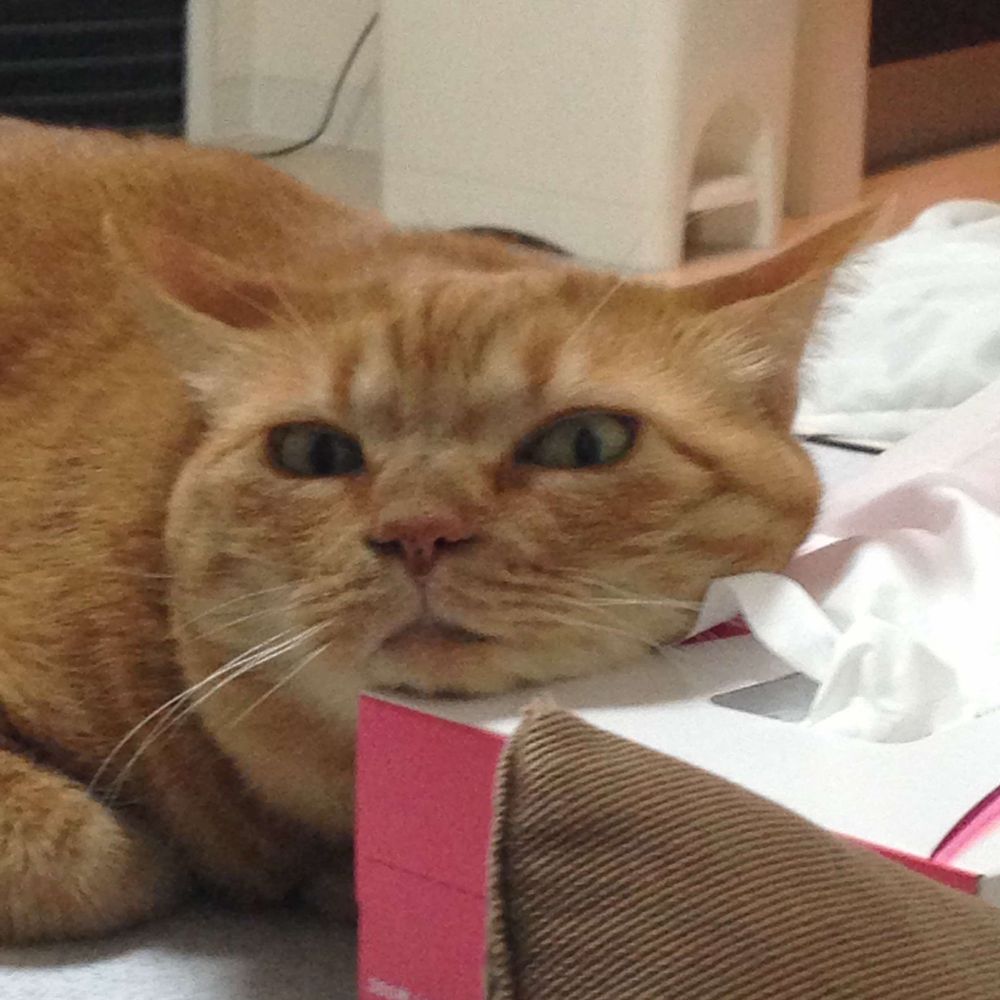 むちこ