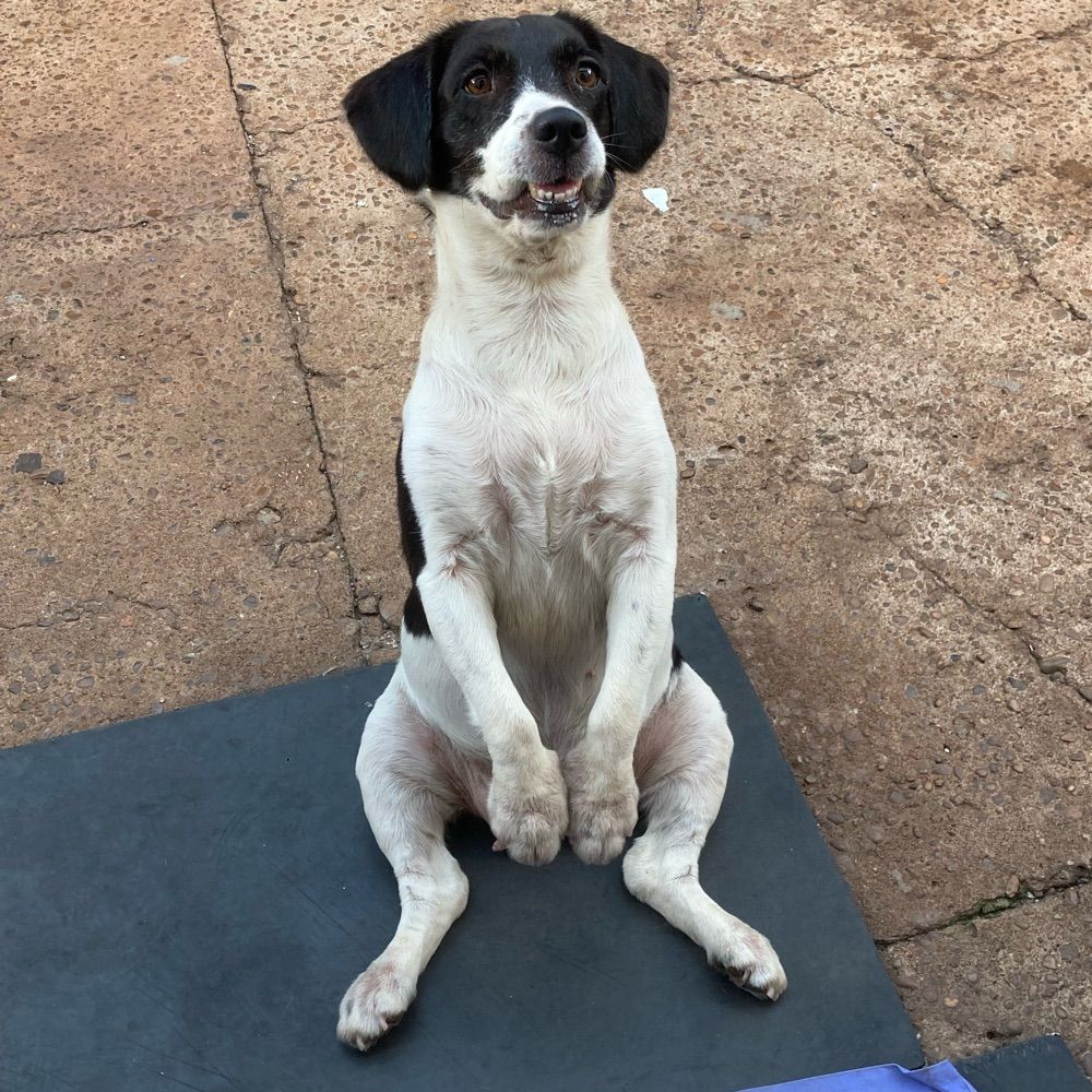 Menina do computador