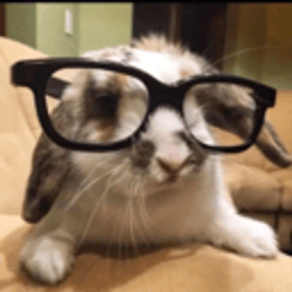 Graygirl Bunnevere