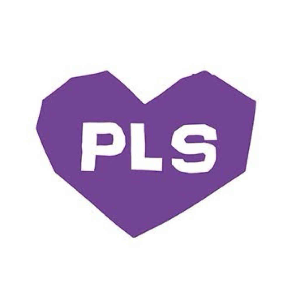 Pædagogstuderendes Landssammenslutning