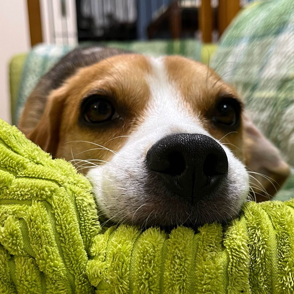 きこり