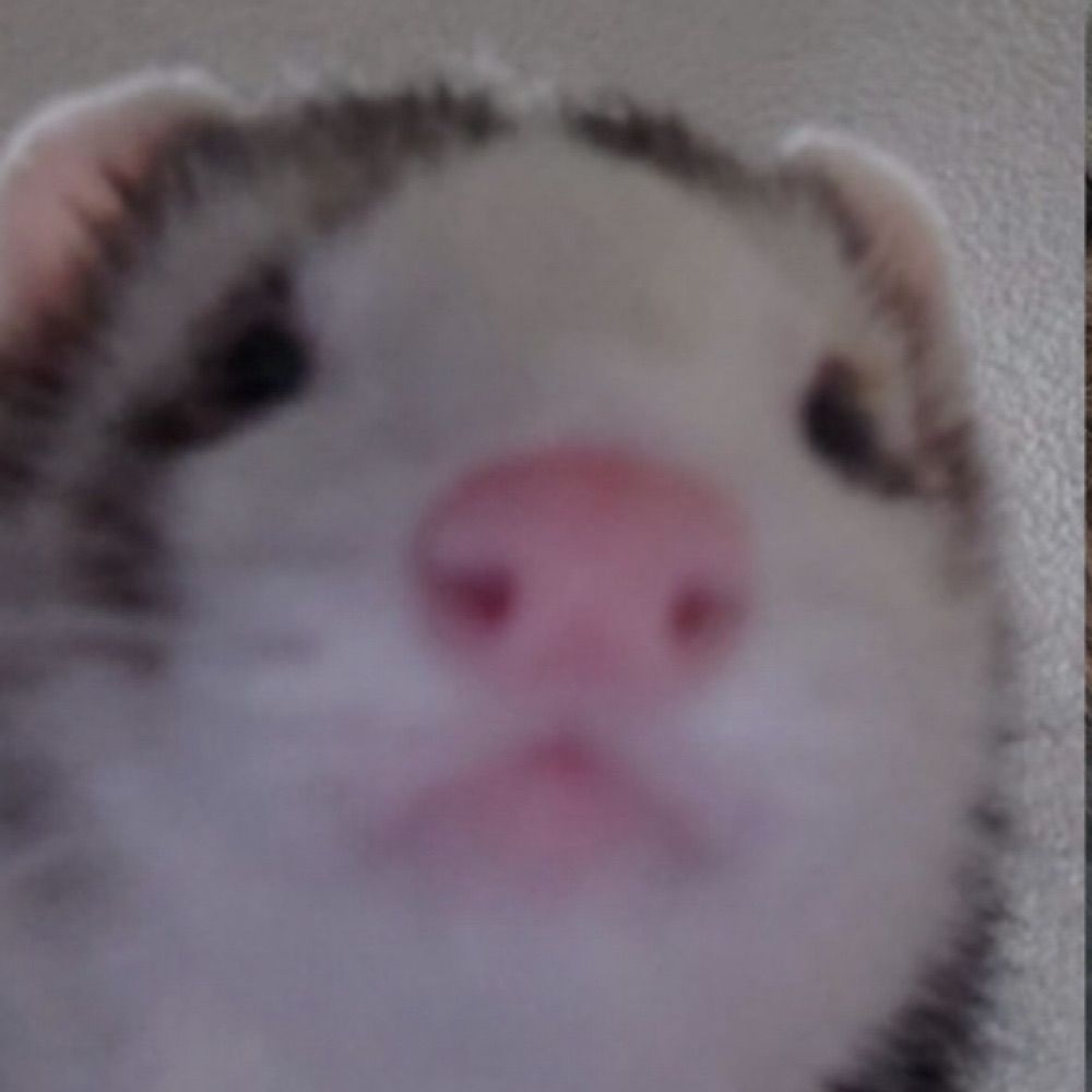 juba