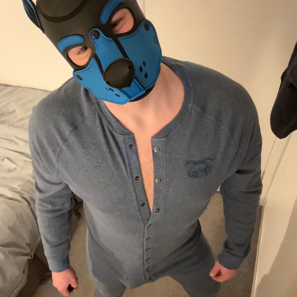 Pup Ruckus