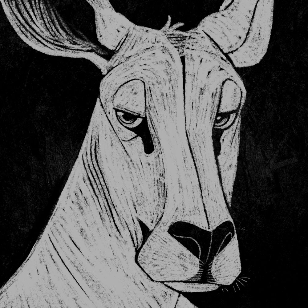 roo