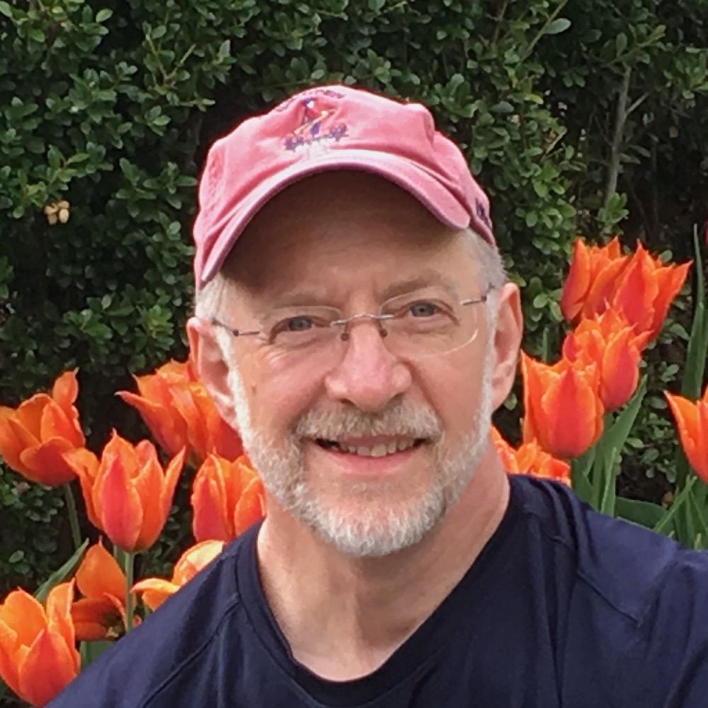 Jeffry Wells