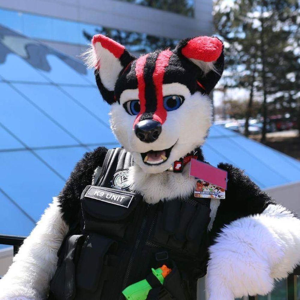 RazzHusky