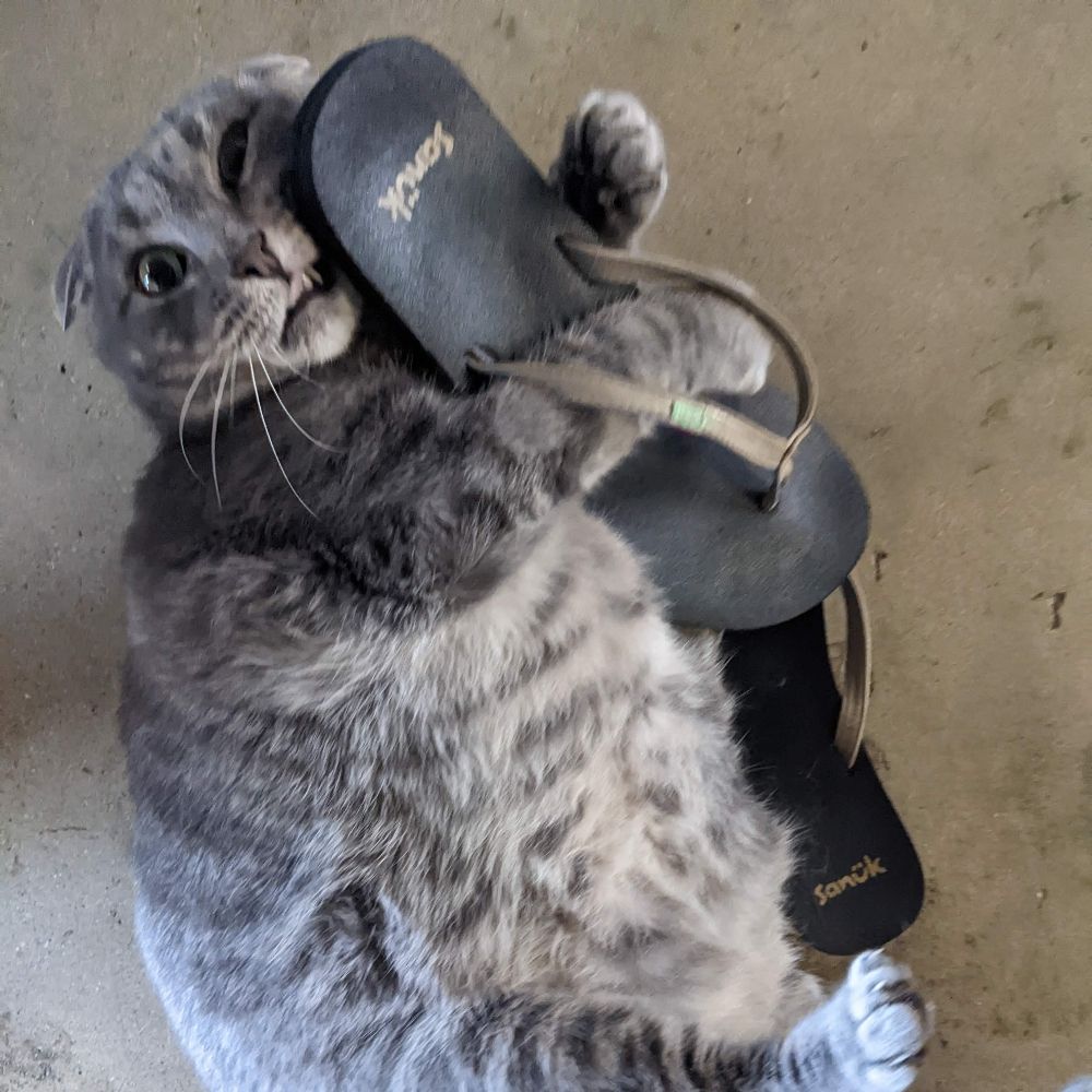 Can ya hear me now