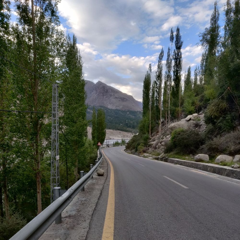 Majid Hafeez 🚩