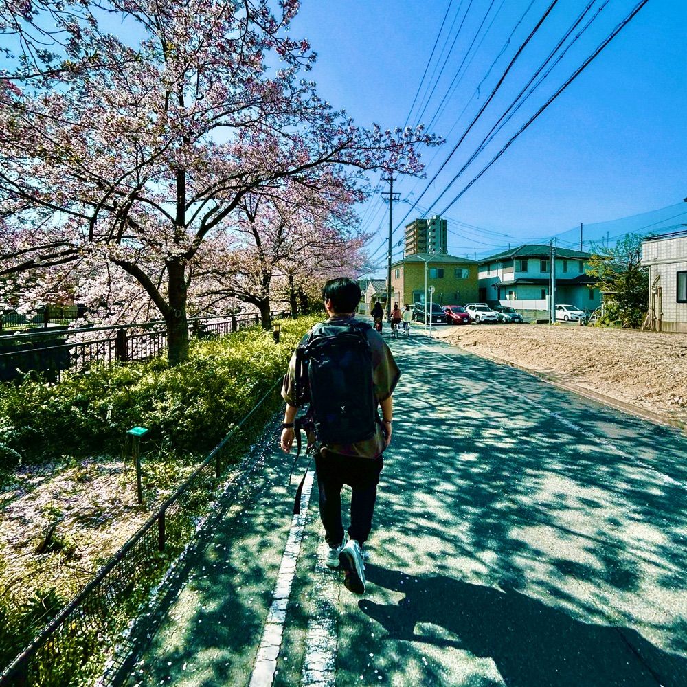 David Shinozaki (デビッド篠崎)