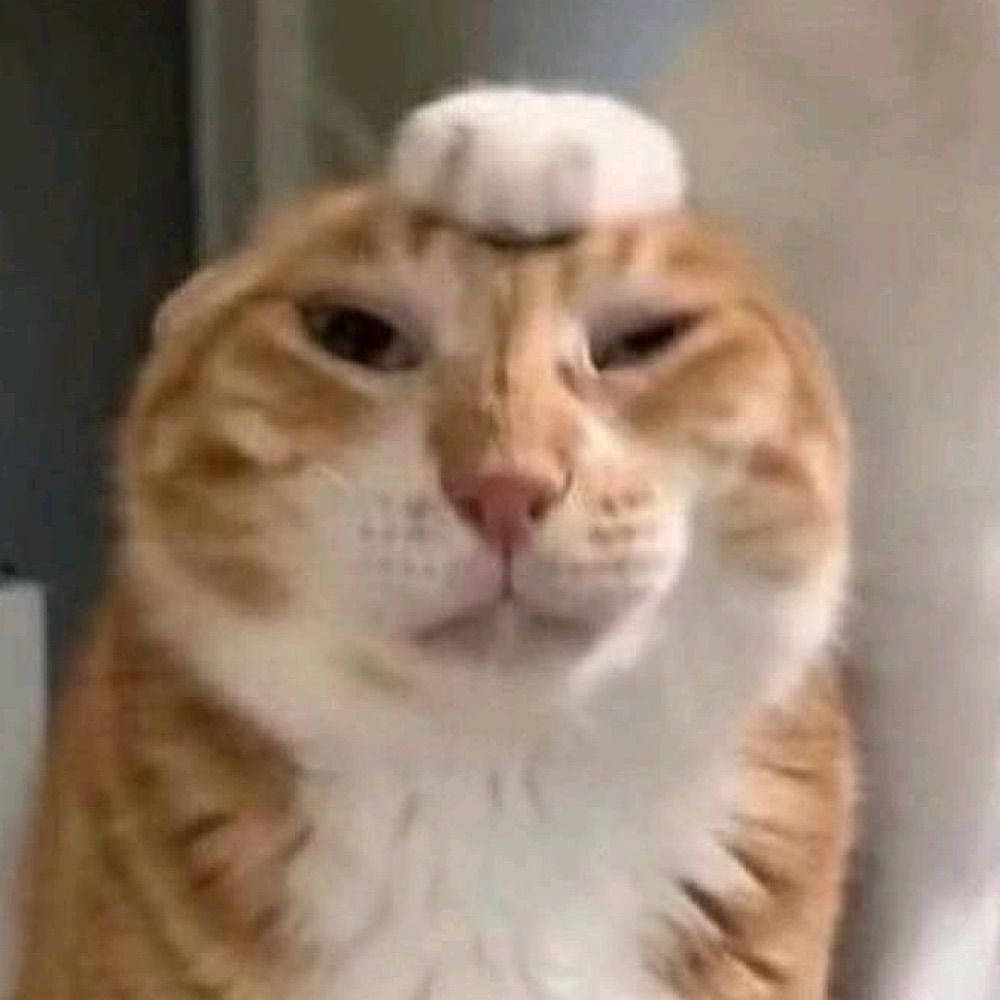 NARUK4MI