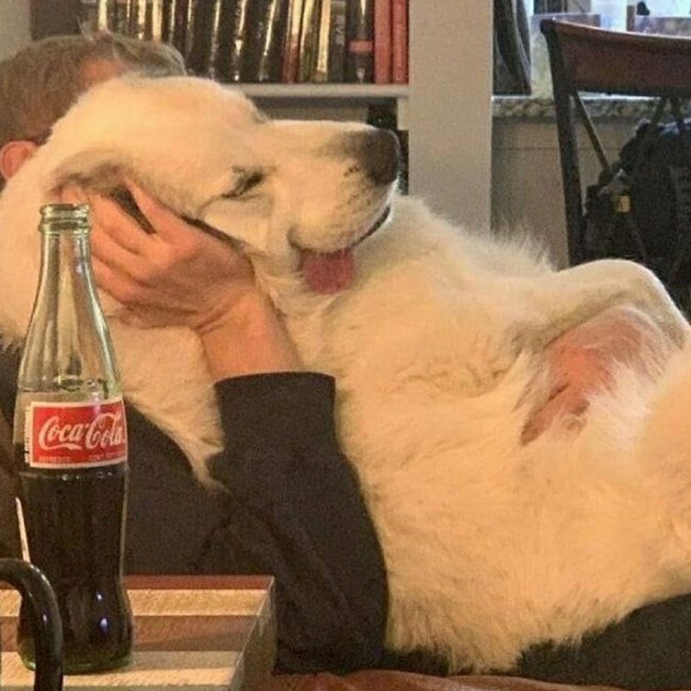 무말랭이