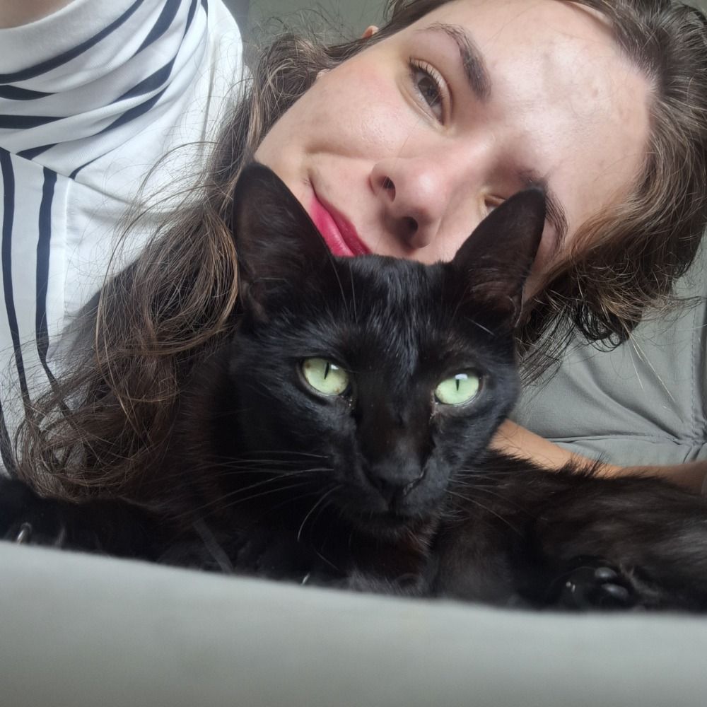 twitch.tv/ratke_