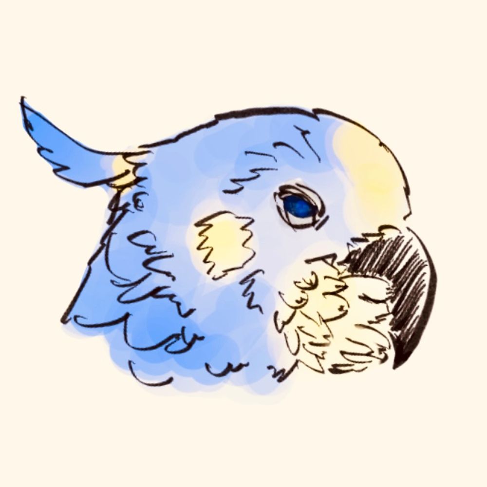 nn