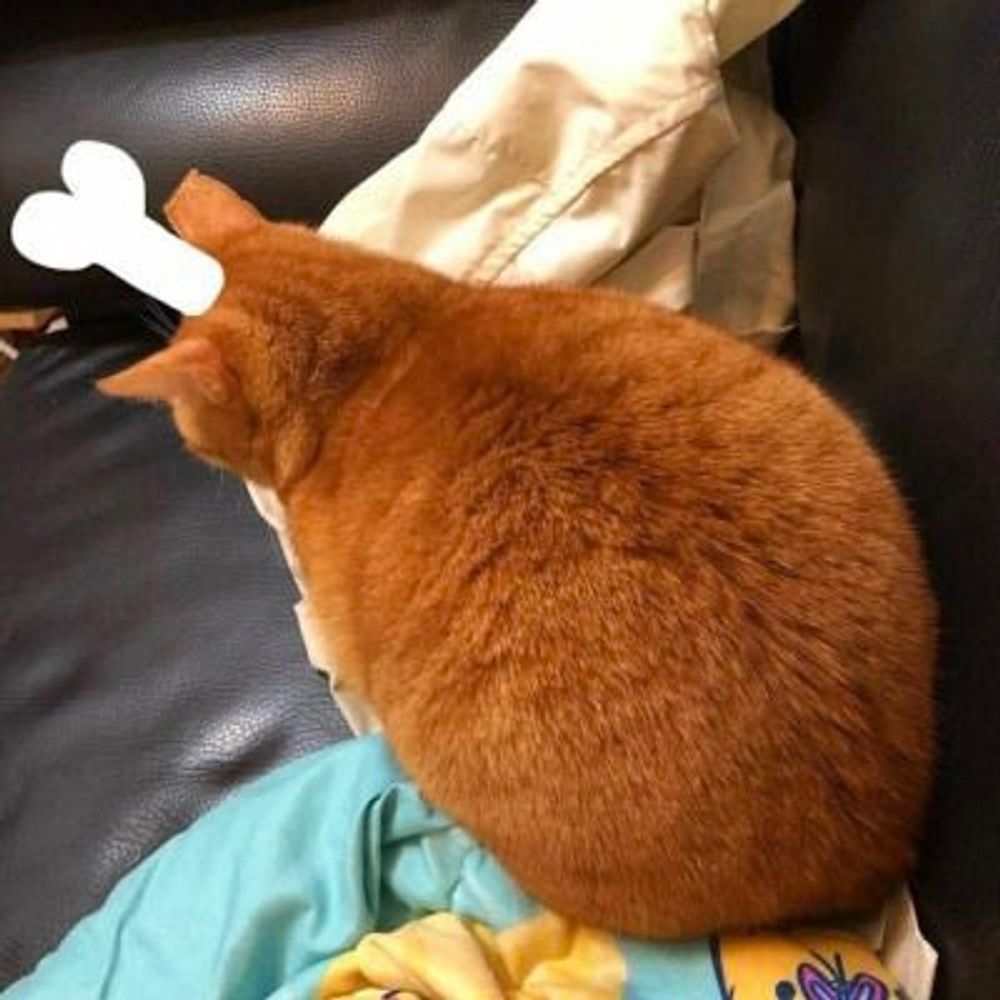 Faint Chittering 