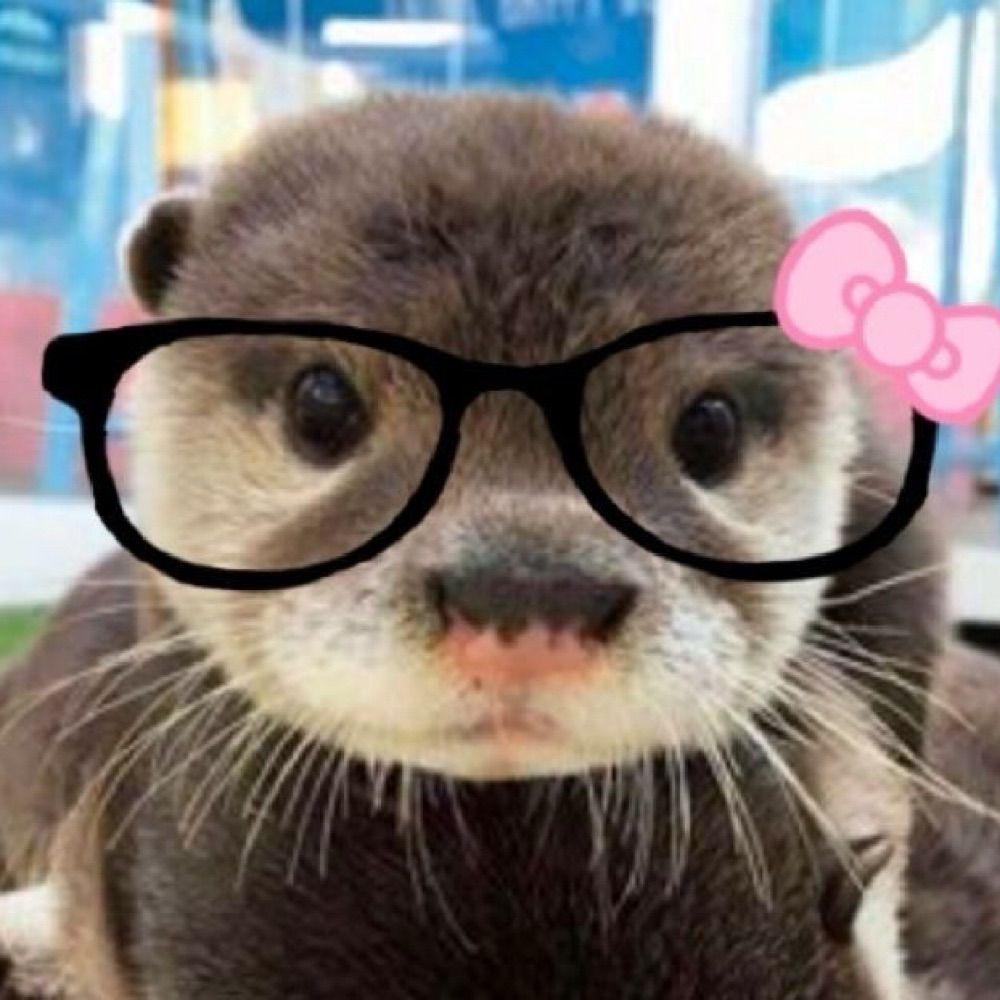 Kito