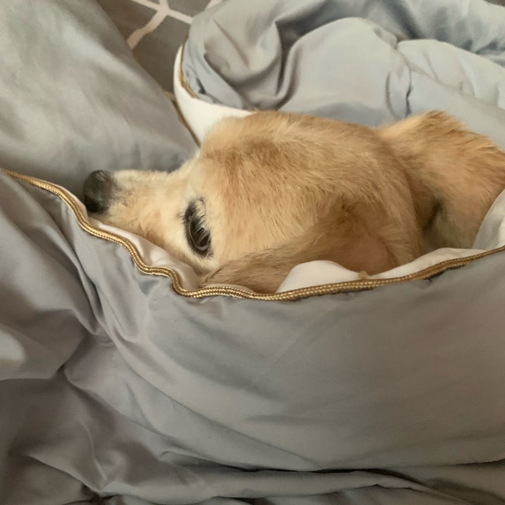훈 훈