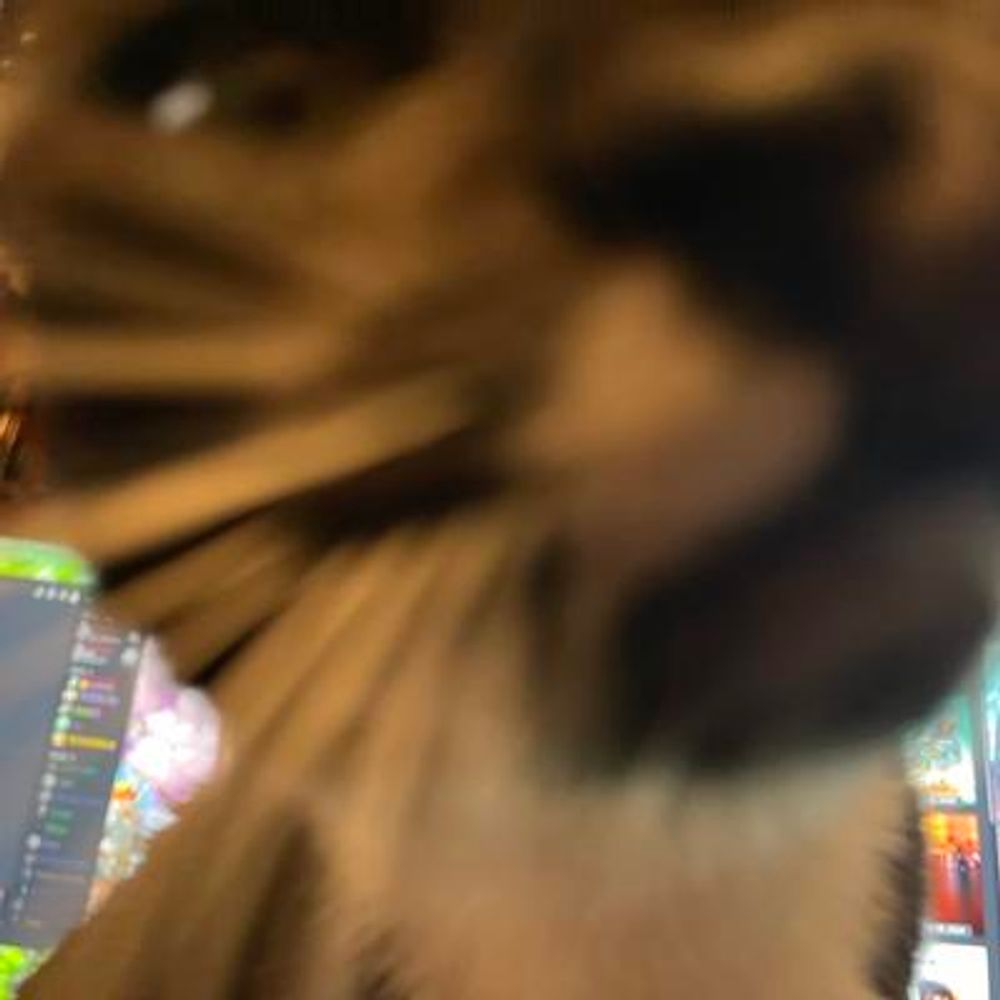 Like Sabotage, but I'm just a cute kitty cat! >:3c