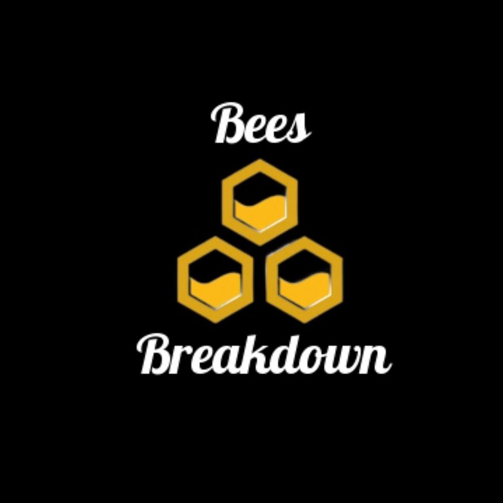 BeesBreakdown