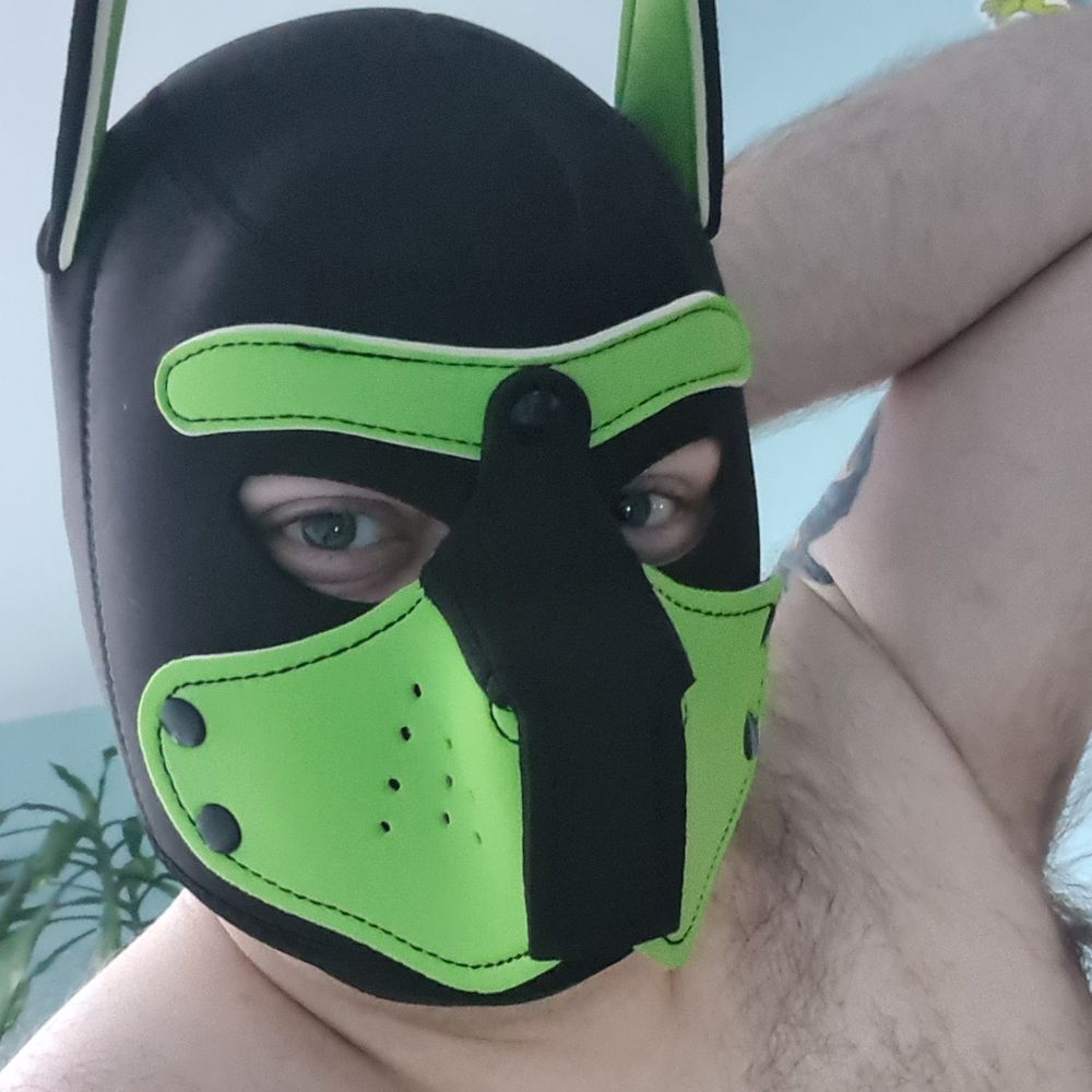 🔞👊 holeinprogress 🐻🐶