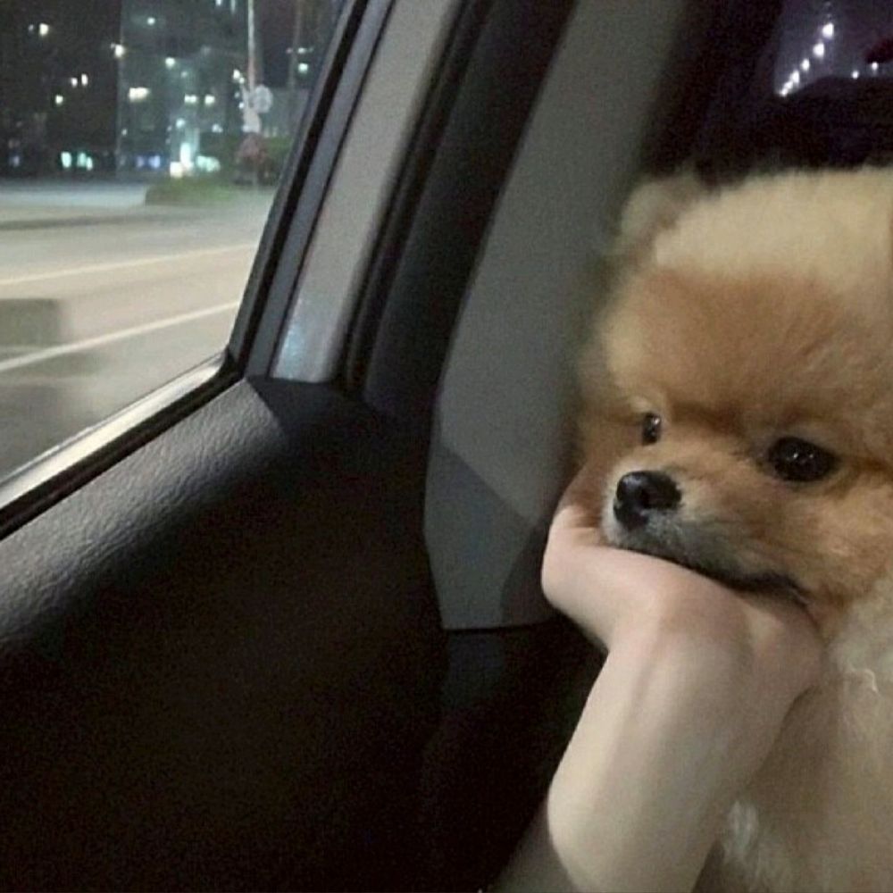 헿