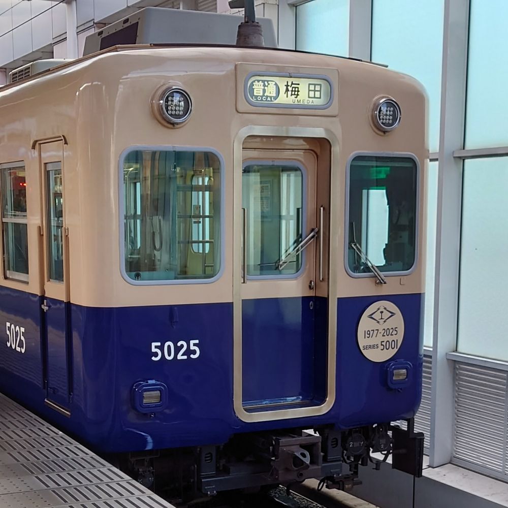 t-h阪b