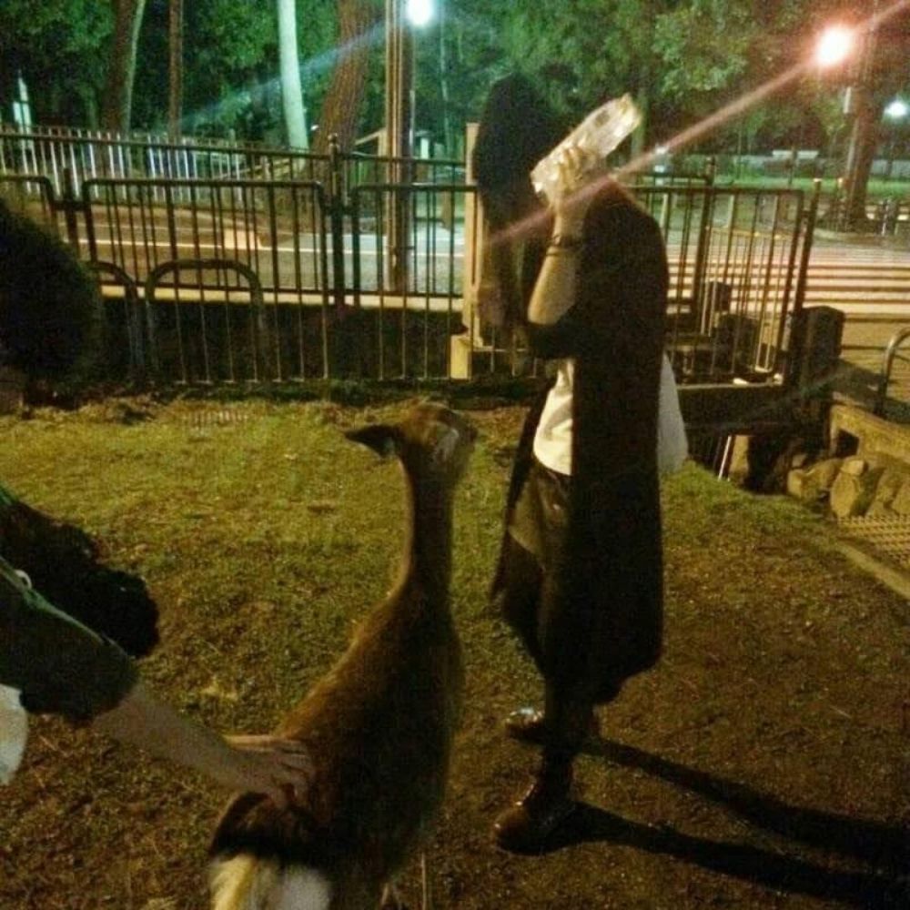 ナンシー