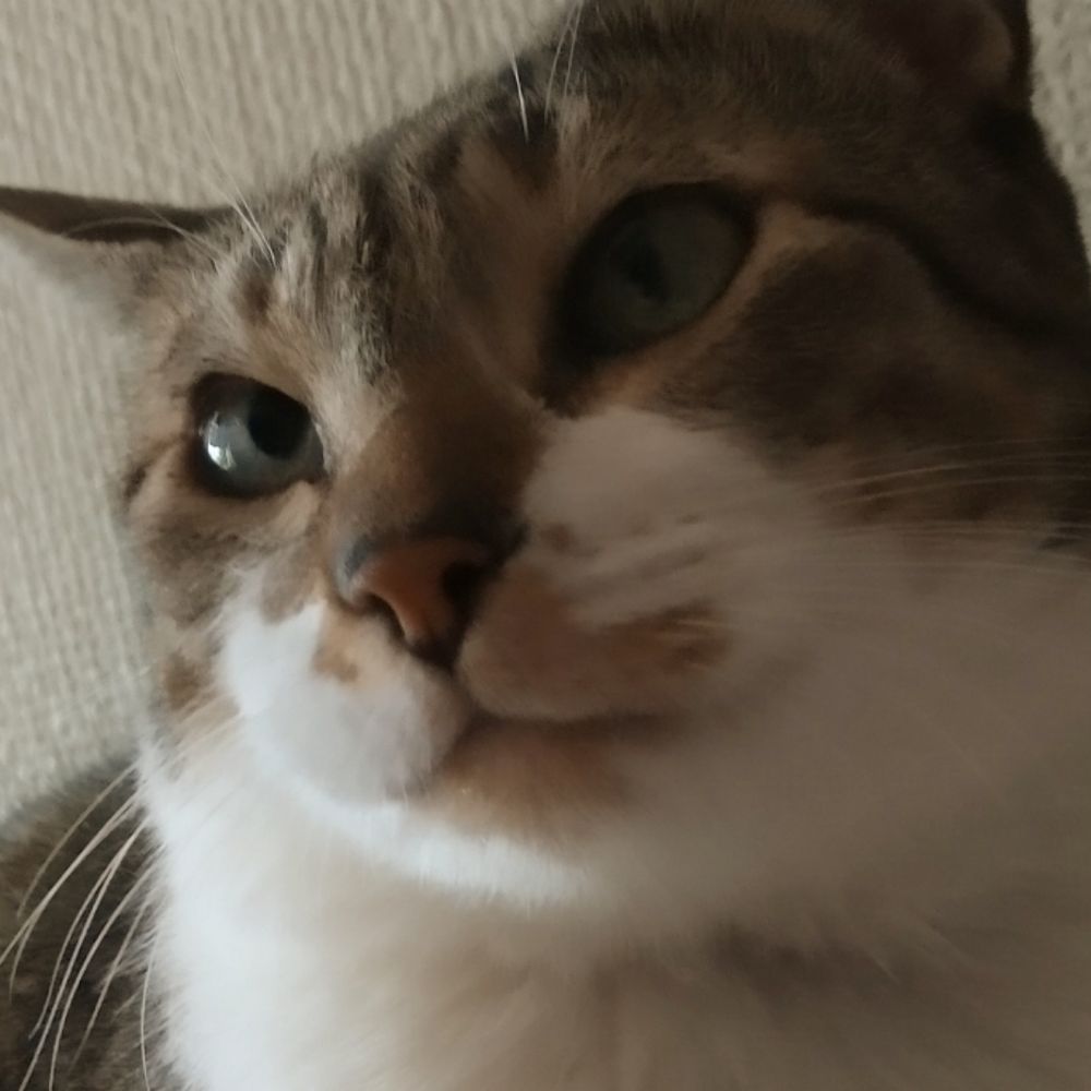 mo2