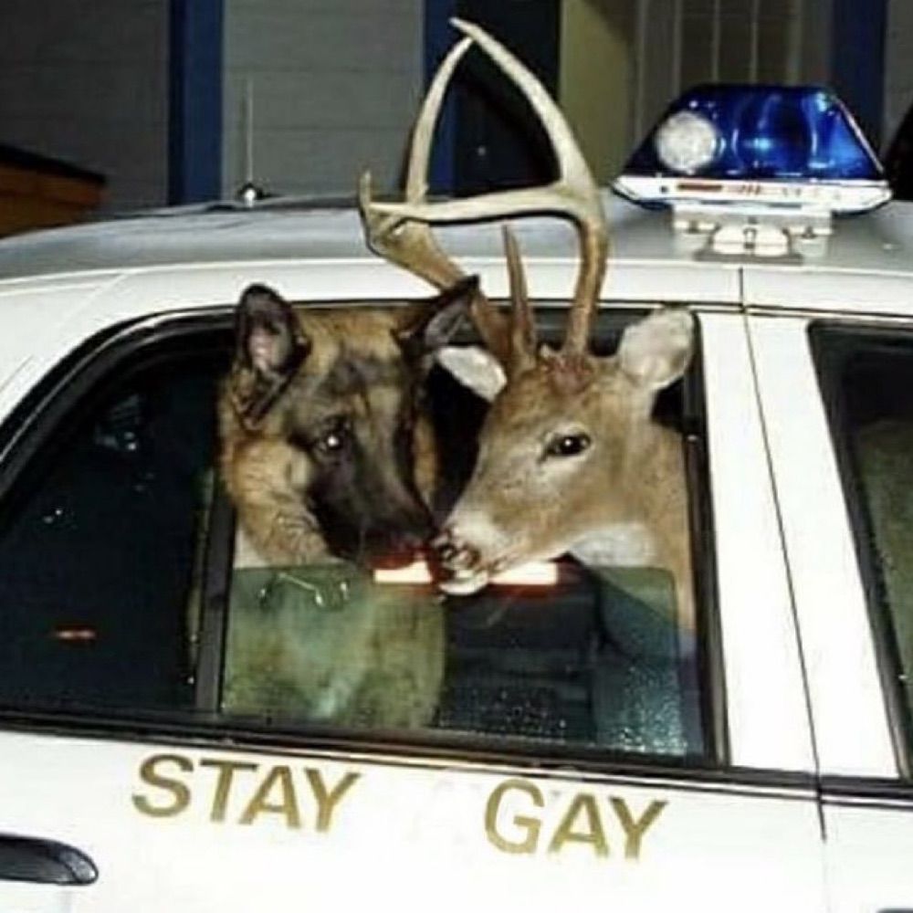 Beef