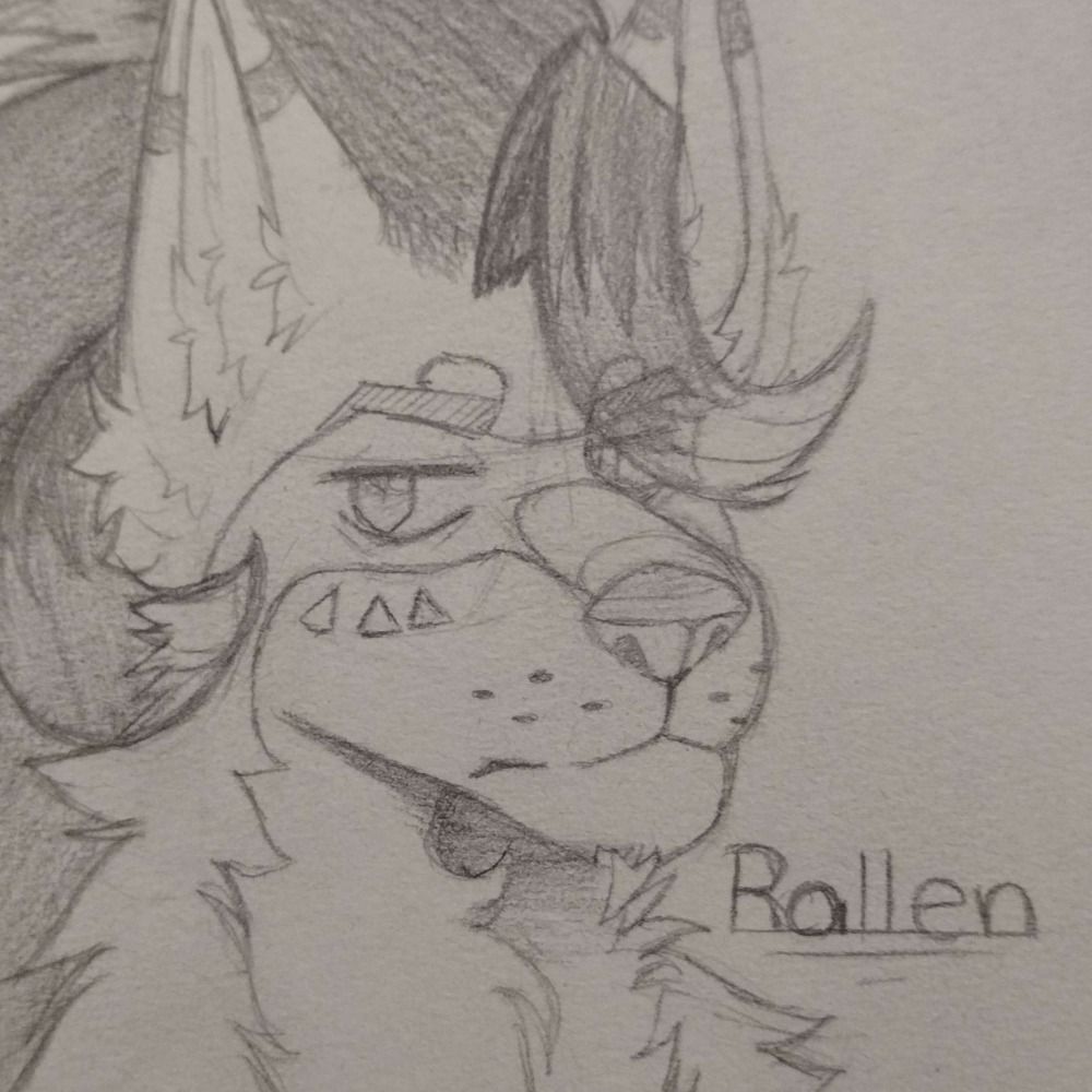 Rallen