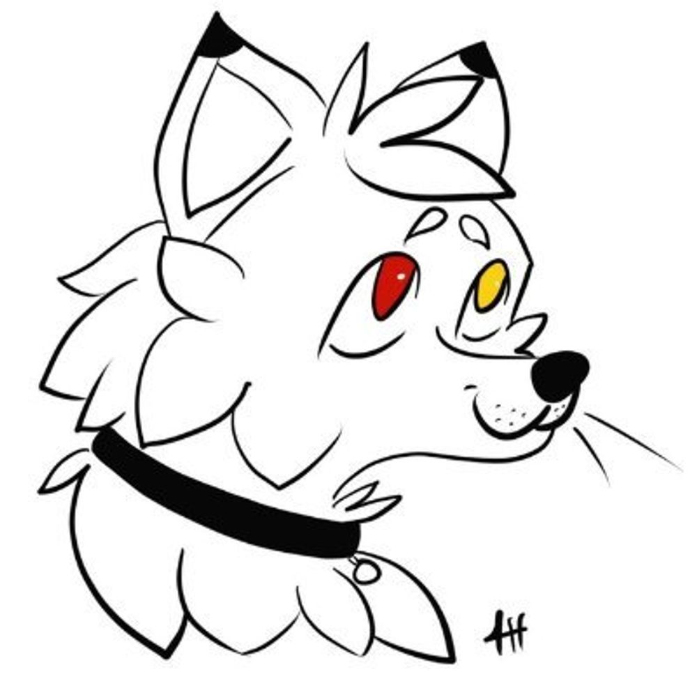 JaxTheArcticFox