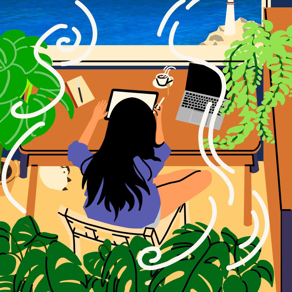 海参白