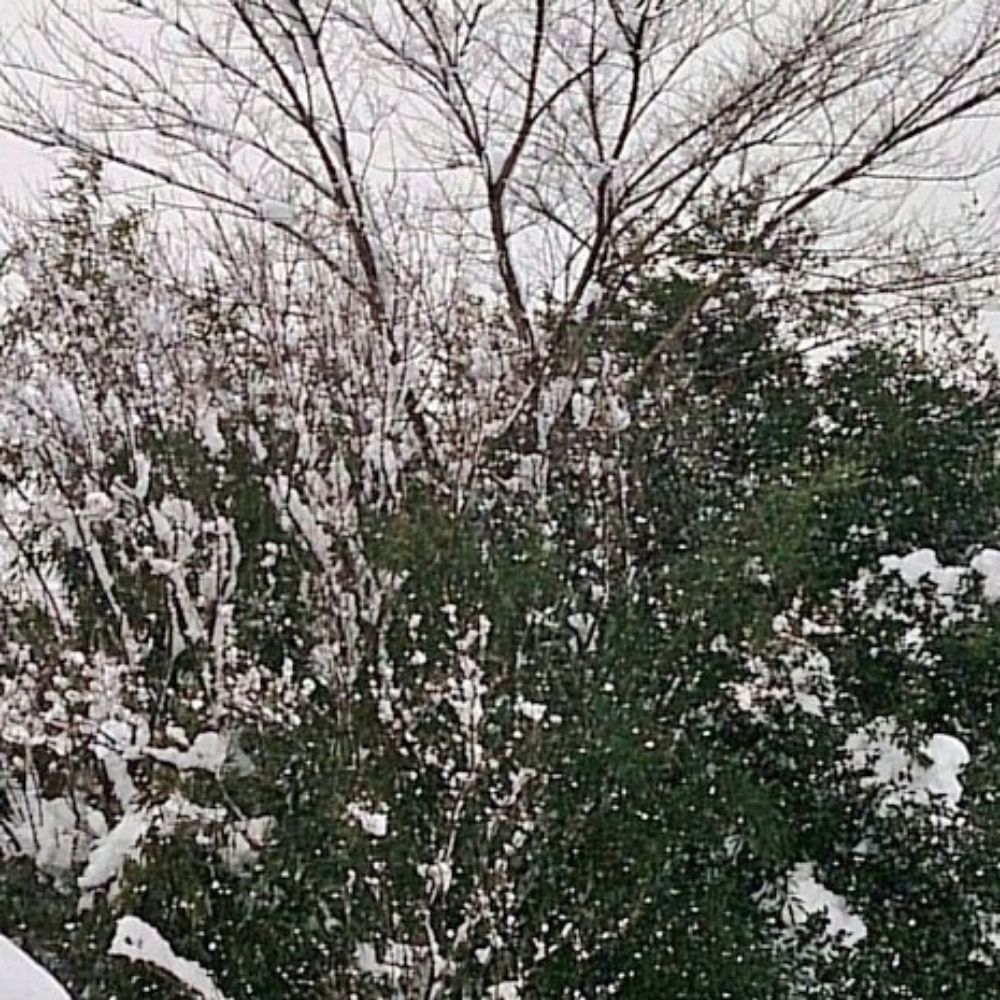 kyimc/景淮
