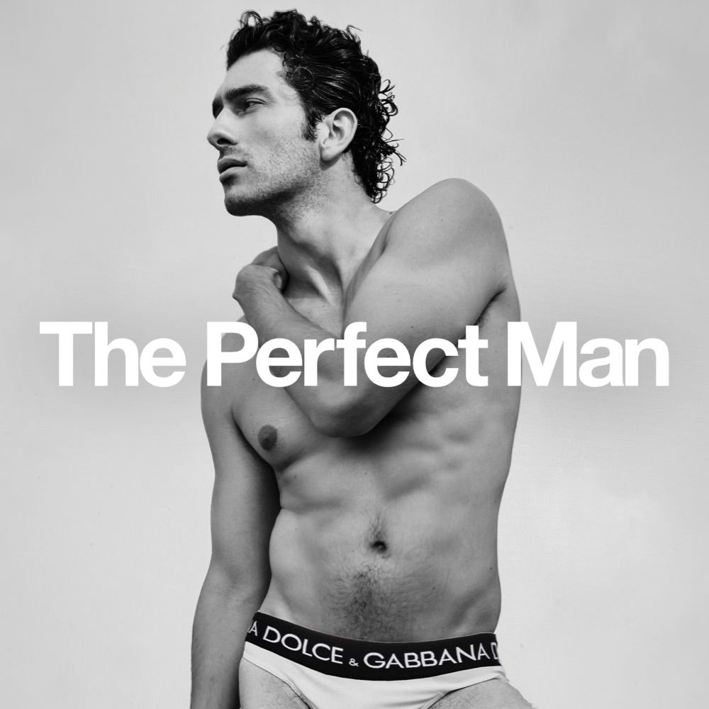 The Perfect Man