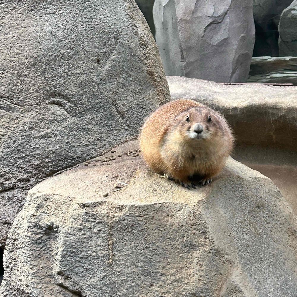 はっちゃん
