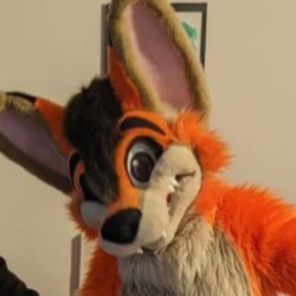 Scruffy the Fox's avatar