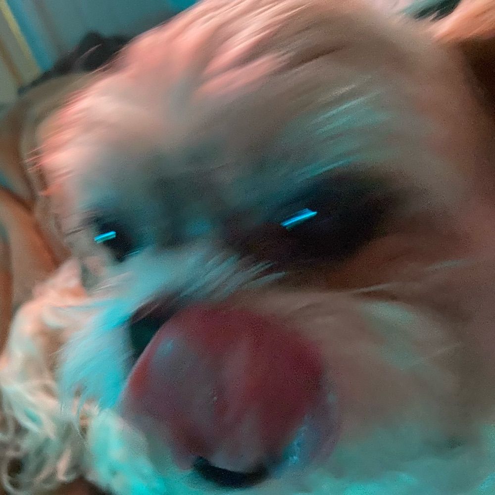 duda
