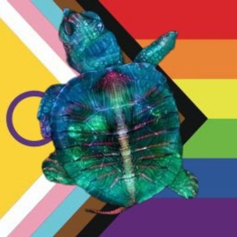 Glass Turtle